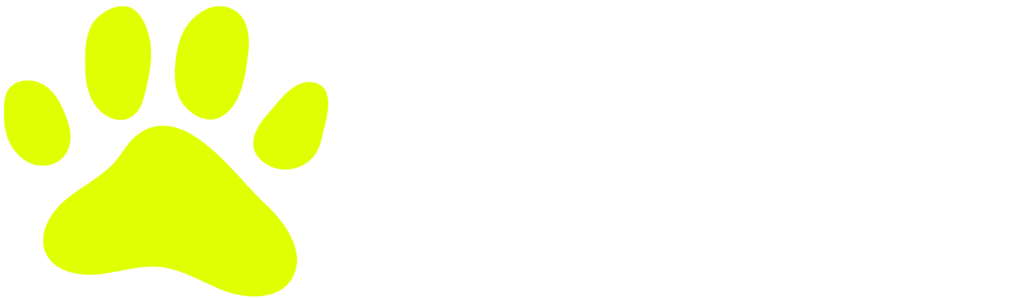 logo2